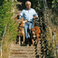 Dunbar walks Ollie (a hound mix) and Dune near his Berkel...