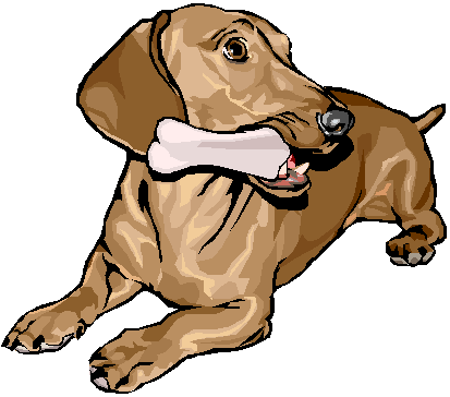 dog bone clipart. digested by the dog,